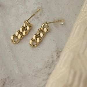 Beautiful link Gold chain Earrings